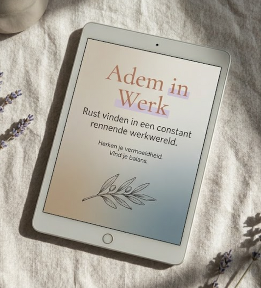 E-book Adem in Werk